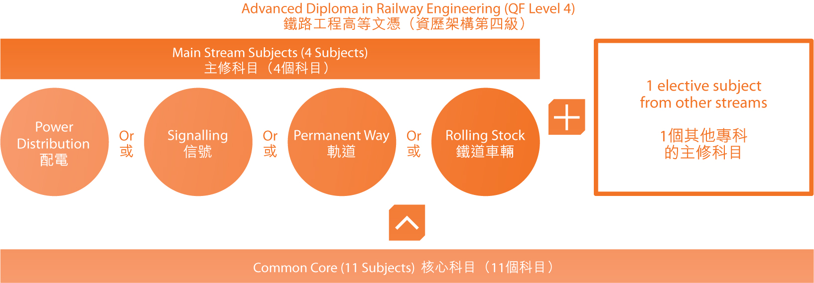 Mtr Organization Chart